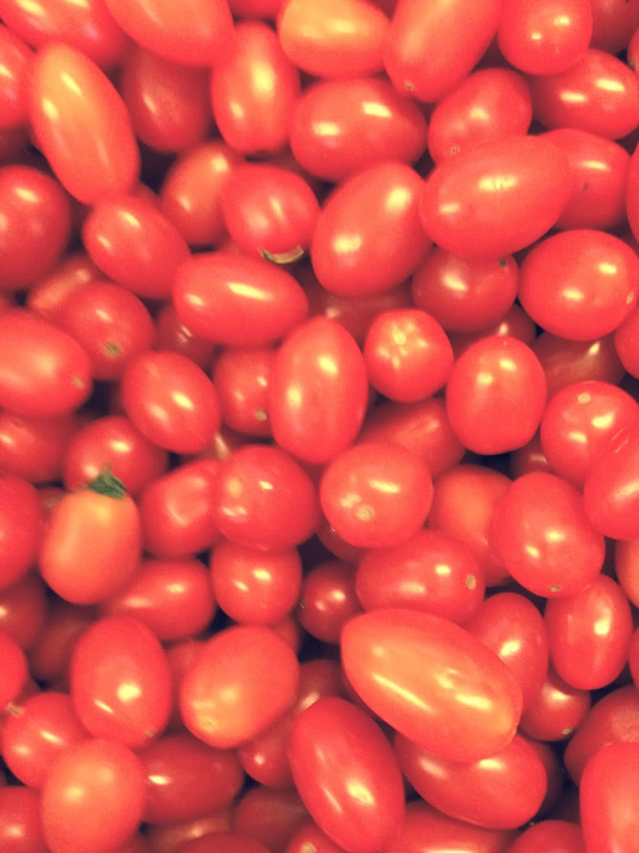 Tomate